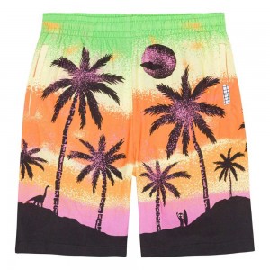 Molo Adi Shorts Pojke Alien Island | SE0000688