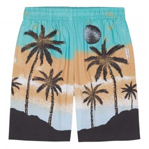 Molo Adi Shorts Pojke Holiday Island | SE0000690