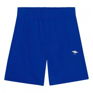 Molo Adian Shorts Pojke Reef Blue | SE0000728