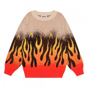 Molo Bello Sweatshirts Cardigans Pojke On Fire | SE0000639