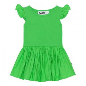 Molo Cimi Klänningar Flicka Classic Green | SE0001302