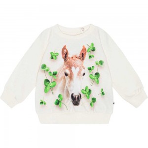 Molo Disc Sweatshirts Cardigans Flicka Clover Foal | SE0001406