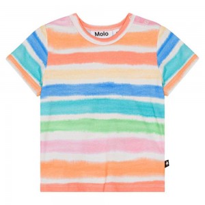 Molo Easy T Shirts Tops Pojke Multi Colours | SE0001410