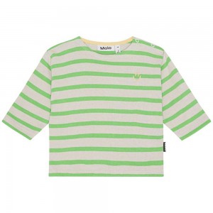 Molo Edarko T Shirts Tops Pojke Grass Stripe | SE0001422