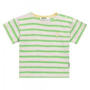 Molo Eivor T Shirts Tops Pojke Grass Stripe | SE0001424