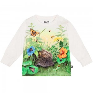 Molo Eloy T Shirts Tops Pojke Living Garden | SE0001417