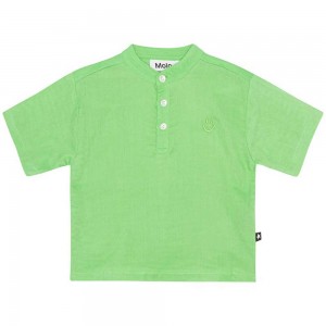 Molo Ever T Shirts Tops Pojke Grass Green | SE0001419