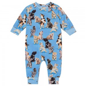 Molo Fairfax Bodies Babysuits Pojke Joy Of Music | SE0001244