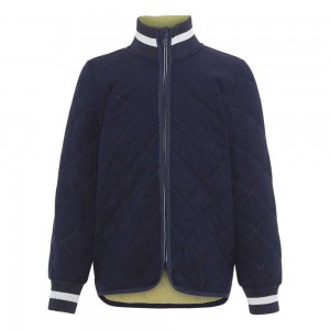 Molo Husky Fleece Softshell Classic Navy | SE0000156