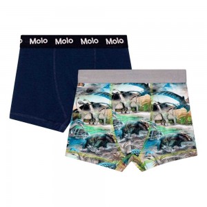 Molo Justin 2-pack Underwear Nightwear Pojke Dino Universe | SE0000874