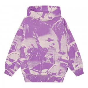 Molo Maxx Sweatshirts Cardigans Pojke Street Dance | SE0000762