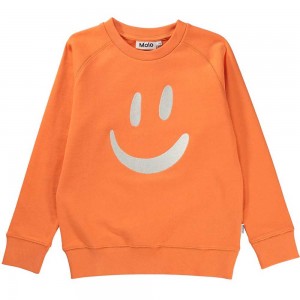 Molo Mike Sweatshirts Cardigans Pojke Ember | SE0000742