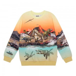 Molo Miksi Sweatshirts Cardigans Pojke Volcano Dinos | SE0000743