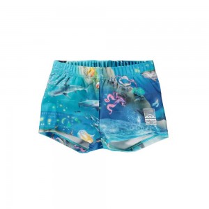 Molo Nansen Badshorts & Boardies Ocean Zones | SE0001138