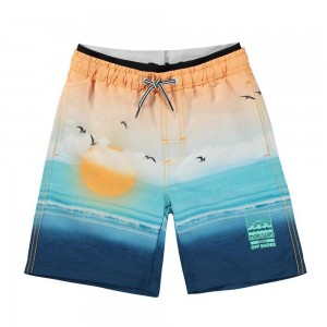 Molo Neal Badshorts & Boardies Sunset Beach | SE0001147