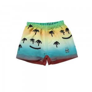 Molo Newton Badshorts & Boardies Palm Spray | SE0001118