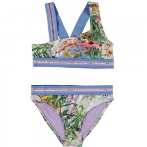 Molo Nicola Bikinis Wild Nature | SE0001053