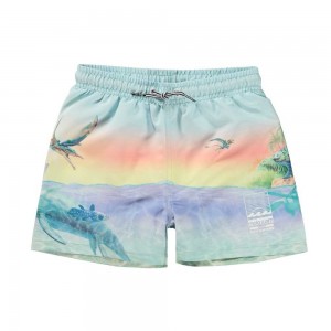 Molo Niko Badshorts & Boardies Ancient Island | SE0001134