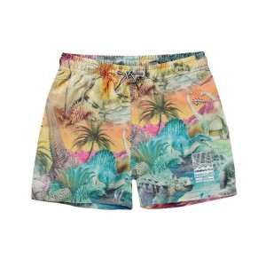 Molo Niko Badshorts & Boardies Dino Paradis | SE0001132