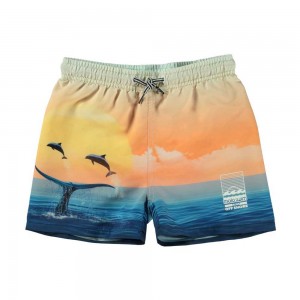 Molo Niko Badshorts & Boardies Ocean Smile | SE0001143