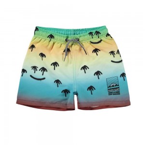 Molo Niko Badshorts & Boardies Palm Spray | SE0001117