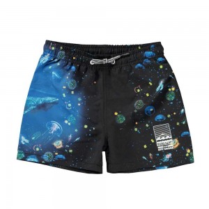 Molo Niko Badshorts & Boardies Plankton | SE0001159