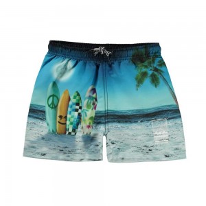 Molo Niko Badshorts & Boardies Sunset Surfer | SE0001121