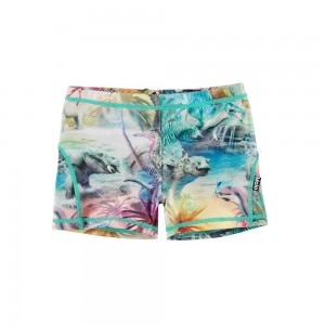 Molo Norton Badshorts & Boardies Dino Paradis | SE0001133