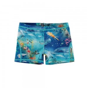 Molo Norton Badshorts & Boardies Ocean Zones | SE0001136