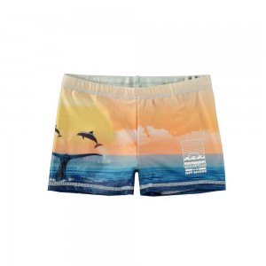 Molo Norton Placed Badshorts & Boardies Ocean Smile | SE0001144