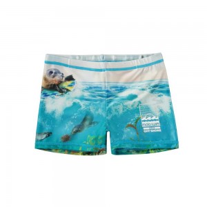 Molo Norton Placed Badshorts & Boardies Sealion | SE0001114