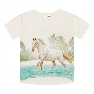 Molo Raeesa T Shirts Tops Flicka Horse On Beach | SE0000523