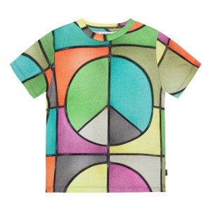 Molo Ralphie T Shirts Tops Pojke Basket Colour | SE0000779