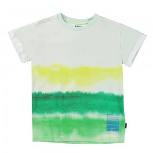 Molo Randon T Shirts Tops Pojke Aqua Green | SE0000636