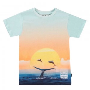 Molo Raul T Shirts Tops Pojke Ocean Smile | SE0000631