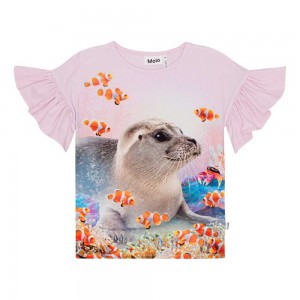 Molo Rayah T Shirts Tops Flicka Seal Reef | SE0000498