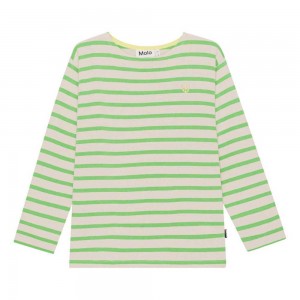 Molo Rilder T Shirts Tops Pojke Grass Stripe | SE0000833