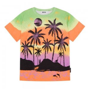 Molo Riley T Shirts Tops Pojke Alien Island | SE0000773