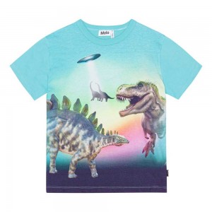 Molo Riley T Shirts Tops Pojke Beaming Dinos | SE0000829