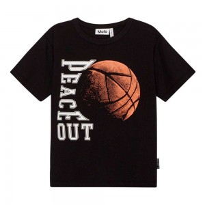 Molo Riley T Shirts Tops Pojke Ember Basket | SE0000804