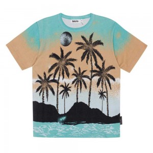 Molo Riley T Shirts Tops Pojke Holiday Island | SE0000778