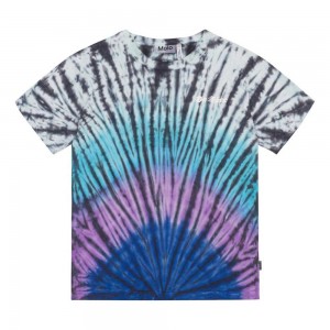 Molo Riley T Shirts Tops Pojke Lit Dye | SE0000851