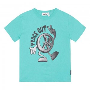 Molo Riley T Shirts Tops Pojke Pacific | SE0000830