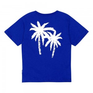 Molo Riley T Shirts Tops Pojke Reef Blue | SE0000770