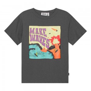 Molo Riley T Shirts Tops Pojke Surf On Fire | SE0000811