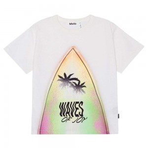 Molo Riley T Shirts Tops Pojke Surfboard | SE0000813