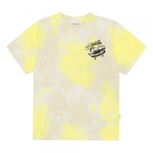 Molo Rodney T Shirts Tops Pojke Lemon Sand Dye | SE0000825