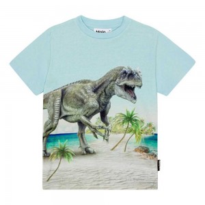 Molo Roxo T Shirts Tops Pojke Beach Dino | SE0000809