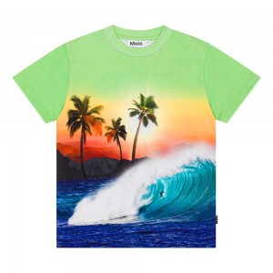 Molo Roxo T Shirts Tops Pojke Green Sunset | SE0000771