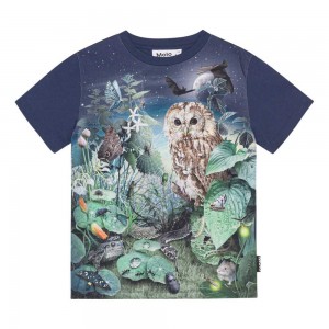 Molo Roxo T Shirts Tops Pojke Night Garden | SE0000826